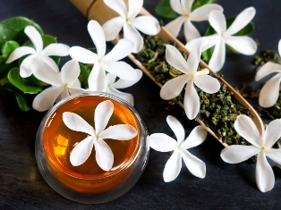 Bamboo & Jasmine Fragrance Oil
