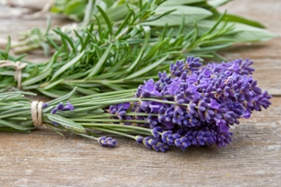 Lavender Sage Fragrance